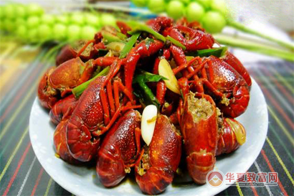 阿蛋龍蝦 技術推廣引領行業新潮，輕松賺錢生意火