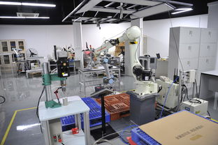 助推鳳崗鎮創客教育優質發展 機器人應用技術推廣服務中心正式運營