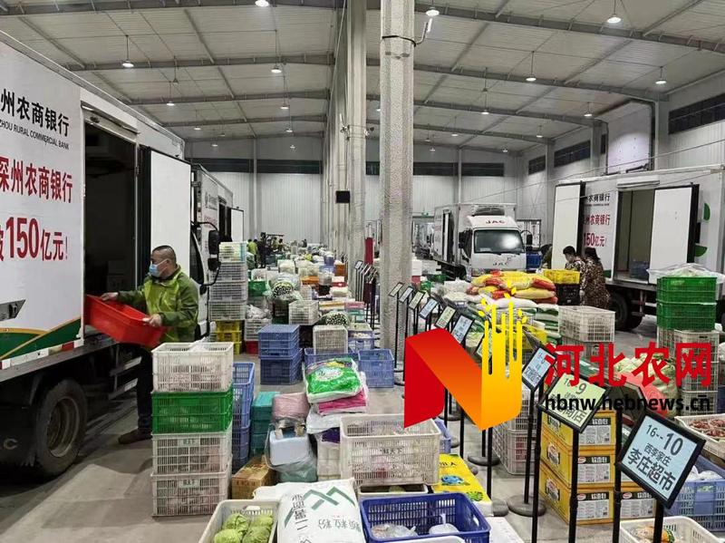 深州市農(nóng)業(yè)產(chǎn)業(yè)項目帶動經(jīng)濟(jì)發(fā)展加速度 日用百貨銷售新契機
